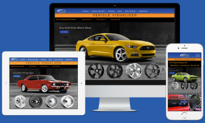 website picture